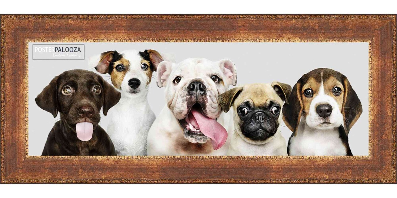 Panoramic Flat Gold Picture Frame - UV Acrylic, Foam Board Backing, Hanging Hardware